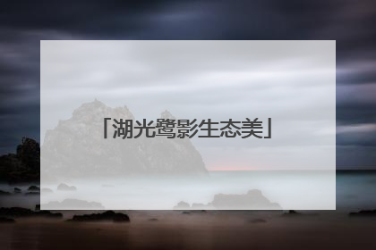 湖光鹭影生态美