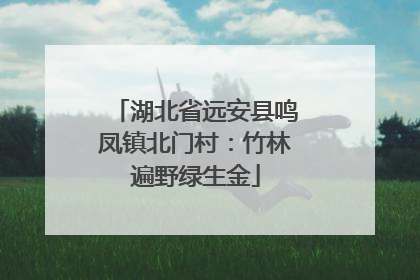 湖北省远安县鸣凤镇北门村：竹林遍野绿生金
