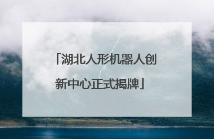 湖北人形机器人创新中心正式揭牌