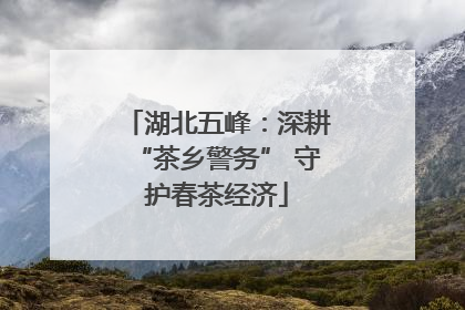 湖北五峰：深耕“茶乡警务” 守护春茶经济