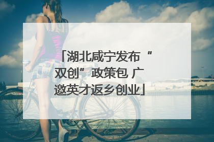 湖北咸宁发布“双创”政策包 广邀英才返乡创业
