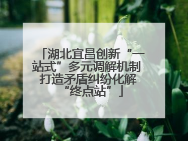 湖北宜昌创新“一站式”多元调解机制 打造矛盾纠纷化解“终点站”