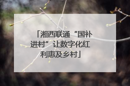湘西联通“国补进村”让数字化红利惠及乡村