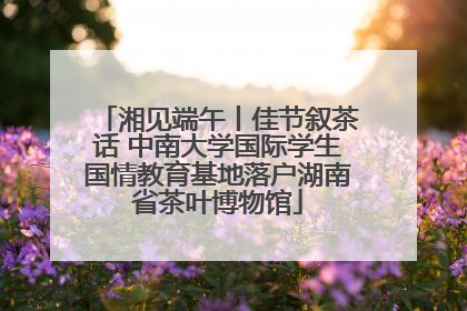 湘见端午丨佳节叙茶话 中南大学国际学生国情教育基地落户湖南省茶叶博物馆