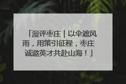 漫评枣庄｜以伞遮风雨，用策引征程，枣庄诚邀英才共赴山海！