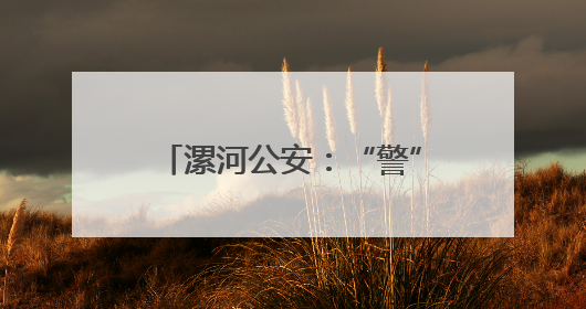 漯河公安：“警”力全开 护航高考