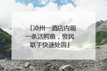 漳州一酒店内现一条活鳄鱼，警民联手快速处置