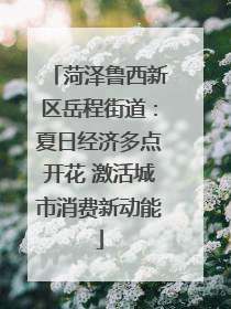 菏泽鲁西新区岳程街道：夏日经济多点开花 激活城市消费新动能