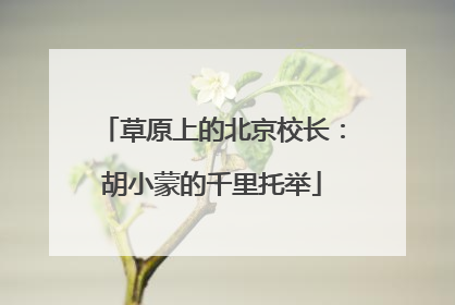 草原上的北京校长：胡小蒙的千里托举