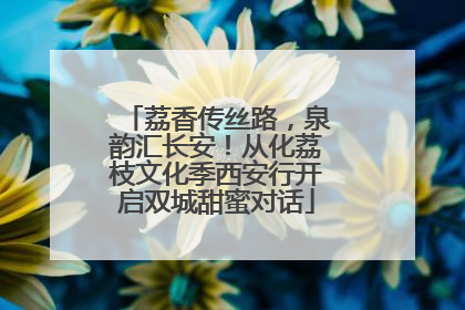 荔香传丝路，泉韵汇长安！从化荔枝文化季西安行开启双城甜蜜对话