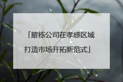 耀栋公司在孝感区域打造市场开拓新范式