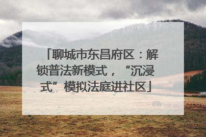 聊城市东昌府区：解锁普法新模式，“沉浸式”模拟法庭进社区