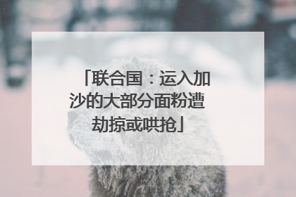联合国：运入加沙的大部分面粉遭劫掠或哄抢