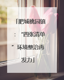 肥城桃园镇：“四张清单”环境整治再发力