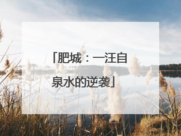 肥城：一汪自泉水的逆袭