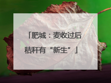 肥城：麦收过后秸秆有“新生”