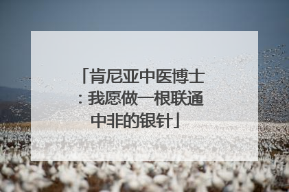 肯尼亚中医博士：我愿做一根联通中非的银针