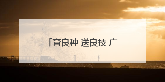 育良种 送良技 广元旺苍稻田插秧忙