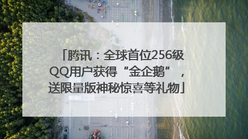腾讯：全球首位256级QQ用户获得“金企鹅”，送限量版神秘惊喜等礼物