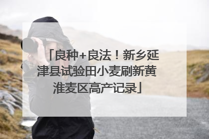 良种+良法！新乡延津县试验田小麦刷新黄淮麦区高产记录