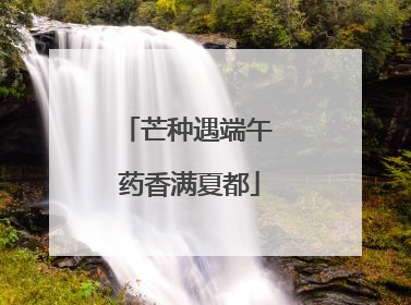 芒种遇端午 药香满夏都