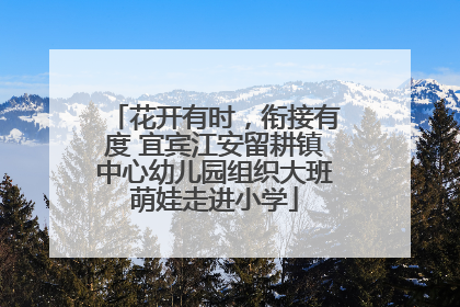 花开有时，衔接有度 宜宾江安留耕镇中心幼儿园组织大班萌娃走进小学