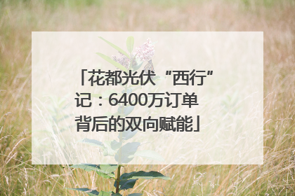 花都光伏“西行”记：6400万订单背后的双向赋能