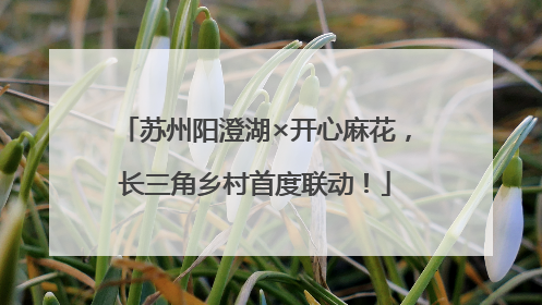 苏州阳澄湖×开心麻花，长三角乡村首度联动！