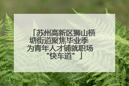 苏州高新区狮山横塘街道聚焦毕业季 为青年人才铺就职场“快车道”