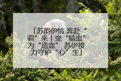 苏韵伊情 奔赴“疆”来丨变“输血”为“造血” 苏伊接力守护“心”生