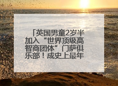 英国男童2岁半加入“世界顶级高智商团体”门萨俱乐部！成史上最年轻男性会员