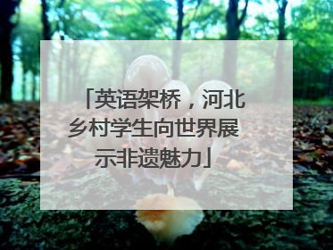 英语架桥，河北乡村学生向世界展示非遗魅力
