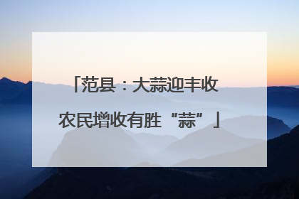 范县：大蒜迎丰收 农民增收有胜“蒜”