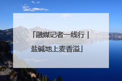 融媒记者一线行｜盐碱地上麦香溢