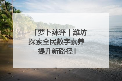 萝卜辣评｜潍坊探索全民数字素养提升新路径