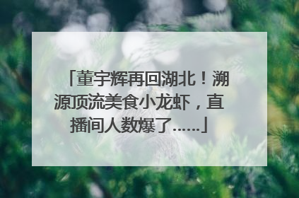 董宇辉再回湖北！溯源顶流美食小龙虾，直播间人数爆了……