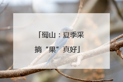 蜀山：夏季采摘“果”真好