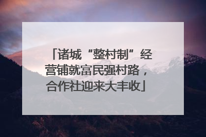 诸城“整村制”经营铺就富民强村路，合作社迎来大丰收