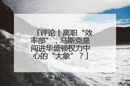 评论丨离职“效率部”，马斯克是闯进华盛顿权力中心的“大象”？