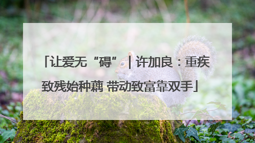 让爱无“碍”｜许加良：重疾致残始种藕 带动致富靠双手