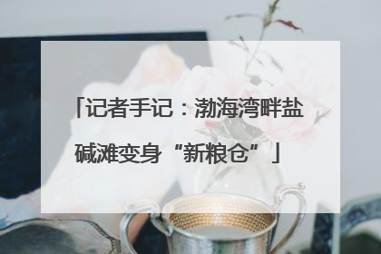 记者手记：渤海湾畔盐碱滩变身“新粮仓”