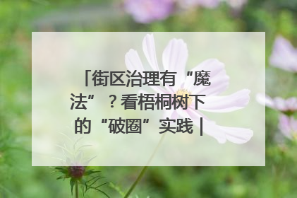 街区治理有“魔法”？看梧桐树下的“破圈”实践｜我在街区当书记