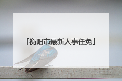 衡阳市最新人事任免