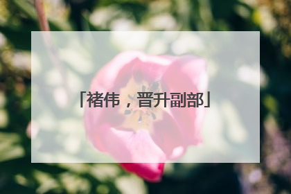 褚伟，晋升副部