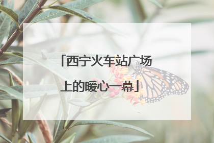 西宁火车站广场上的暖心一幕