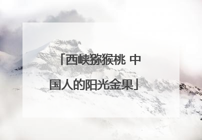 西峡猕猴桃 中国人的阳光金果