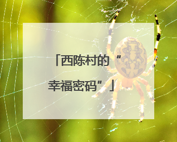 西陈村的“幸福密码”