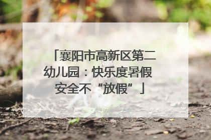 襄阳市高新区第二幼儿园：快乐度暑假 安全不“放假”