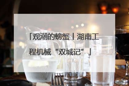 观潮的螃蟹丨湖南工程机械“双城记”