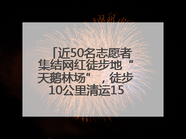 近50名志愿者集结网红徒步地“天鹅林场”，徒步10公里清运150余斤山野垃圾